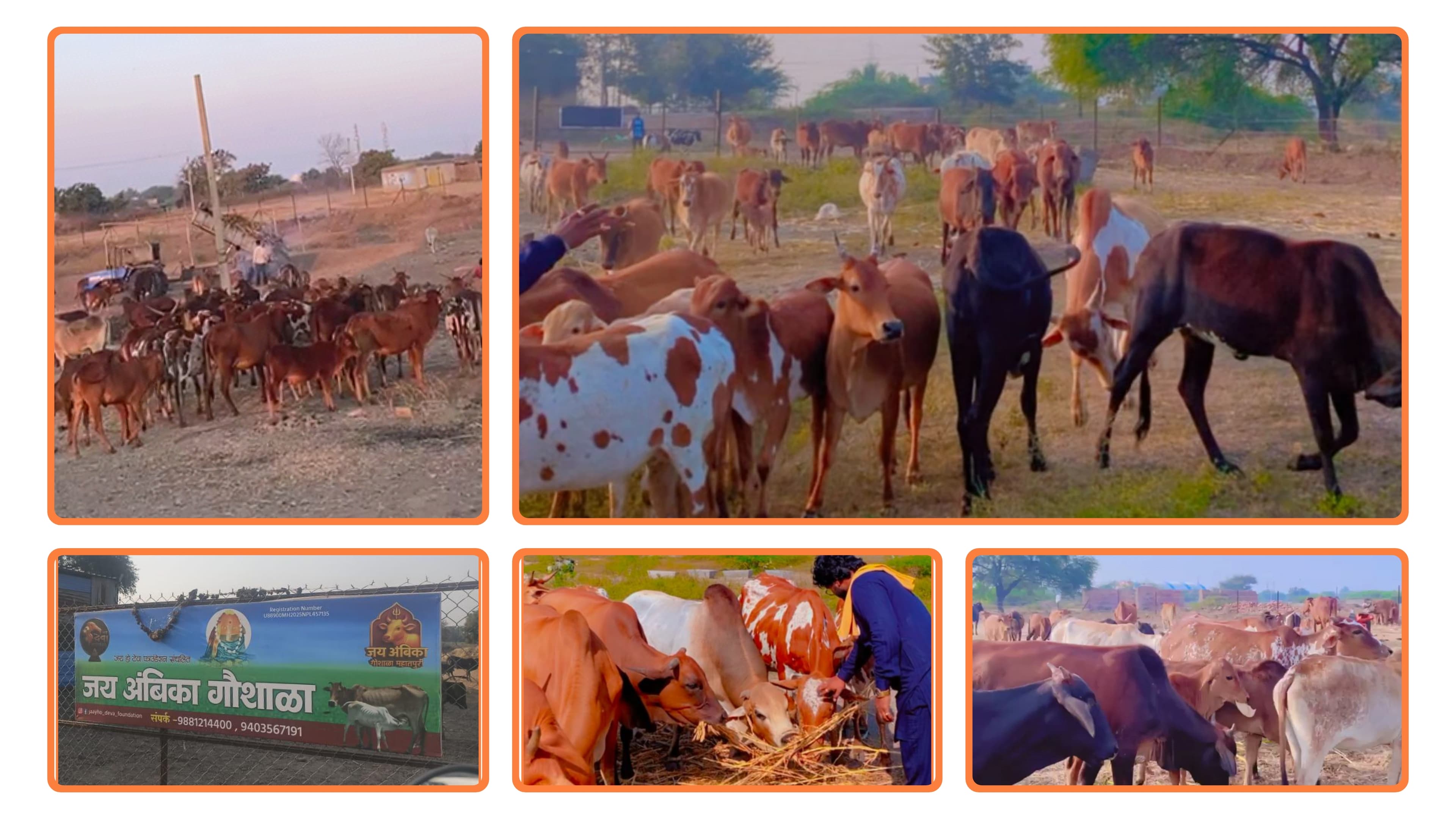 gallery.slide2.title