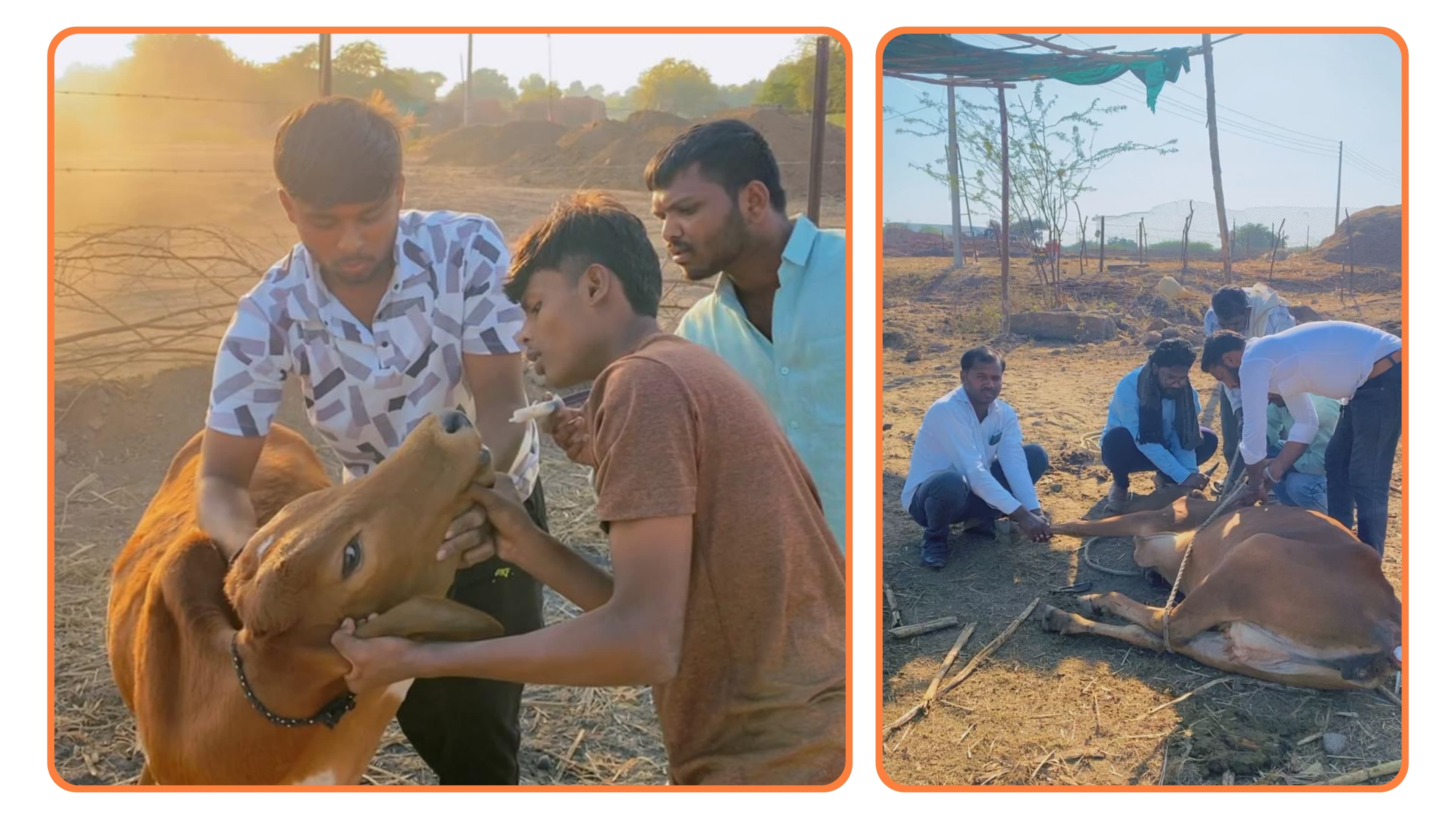 gallery.slide6.title